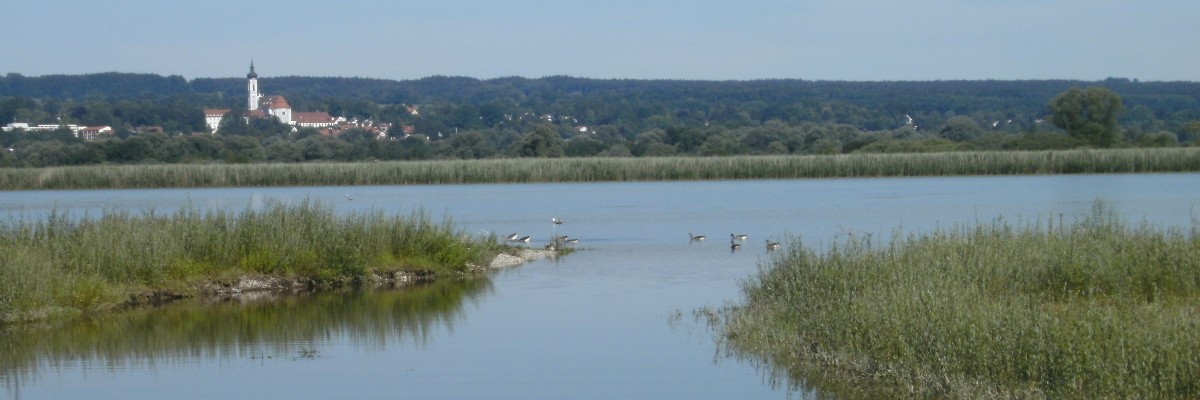 Headerbild Ammersee 6